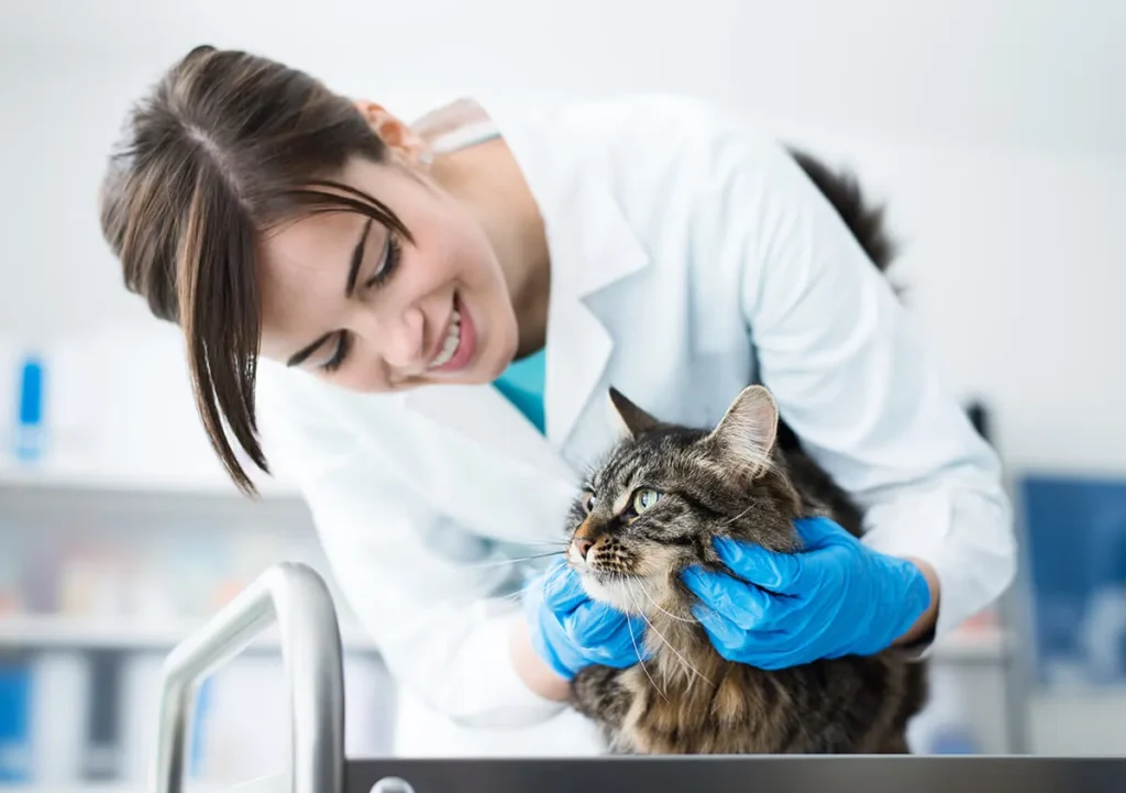 vet clinics in Ajman