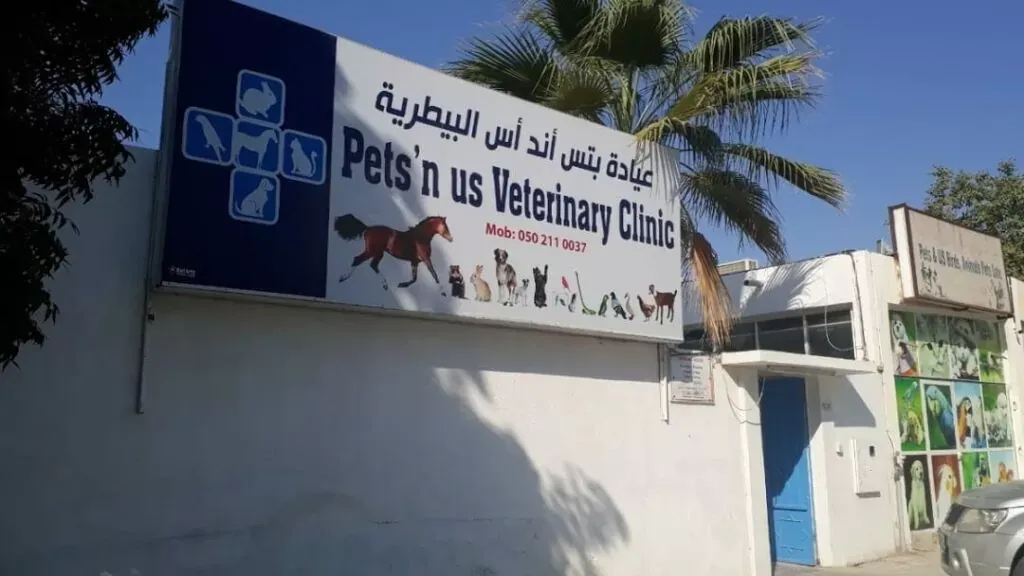 vet clinics in Ajman