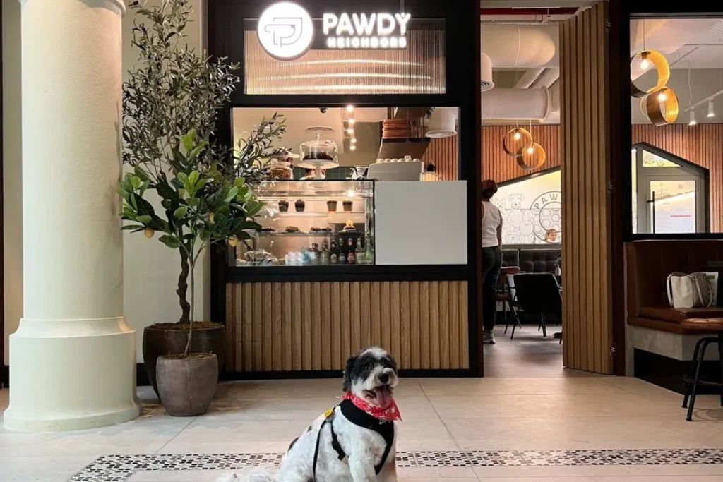 Pet-Friendly Places in Dubai 