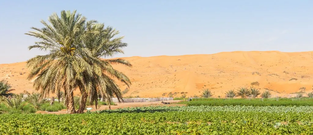 agriculture in the UAE