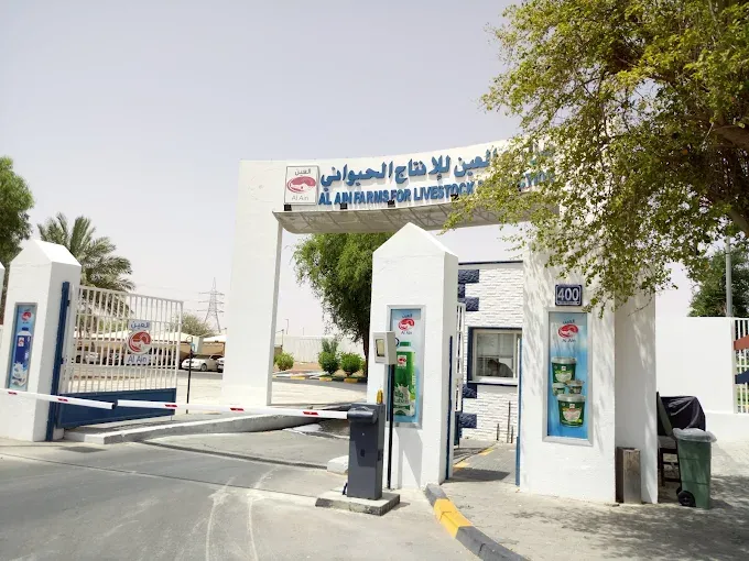 Food Brands from the UAE