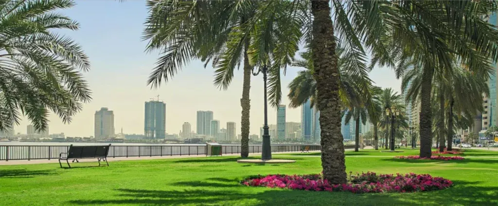 morning walk in Sharjah