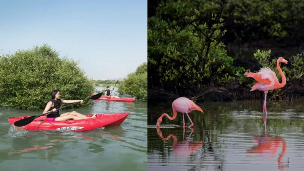 picnic spots in Ras Al Khaimah