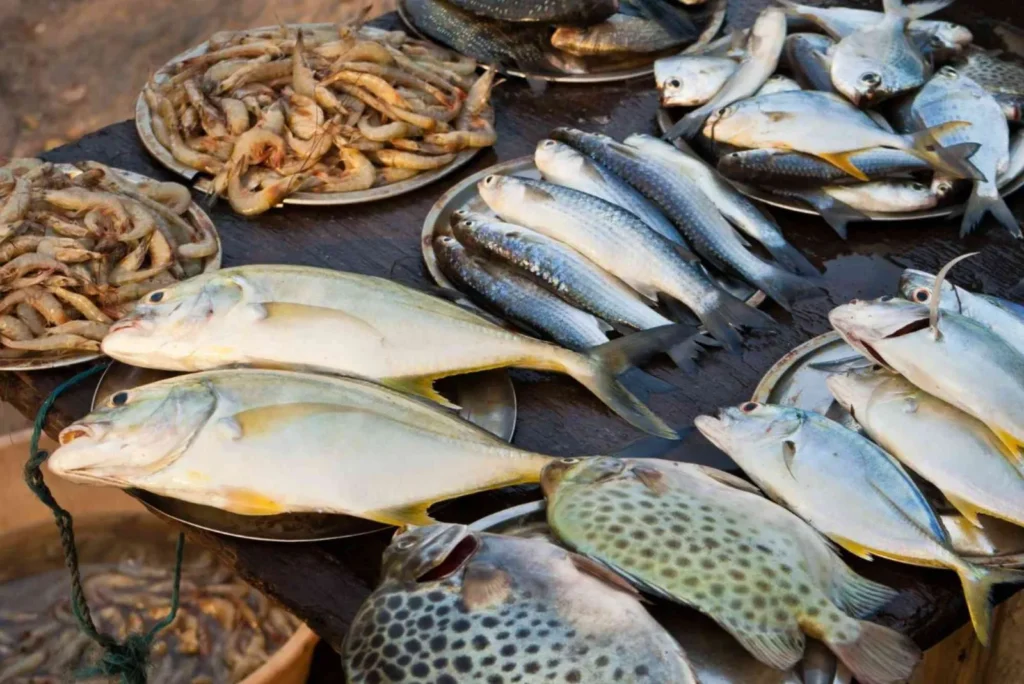 Common Dishes in Abu Dhabi 