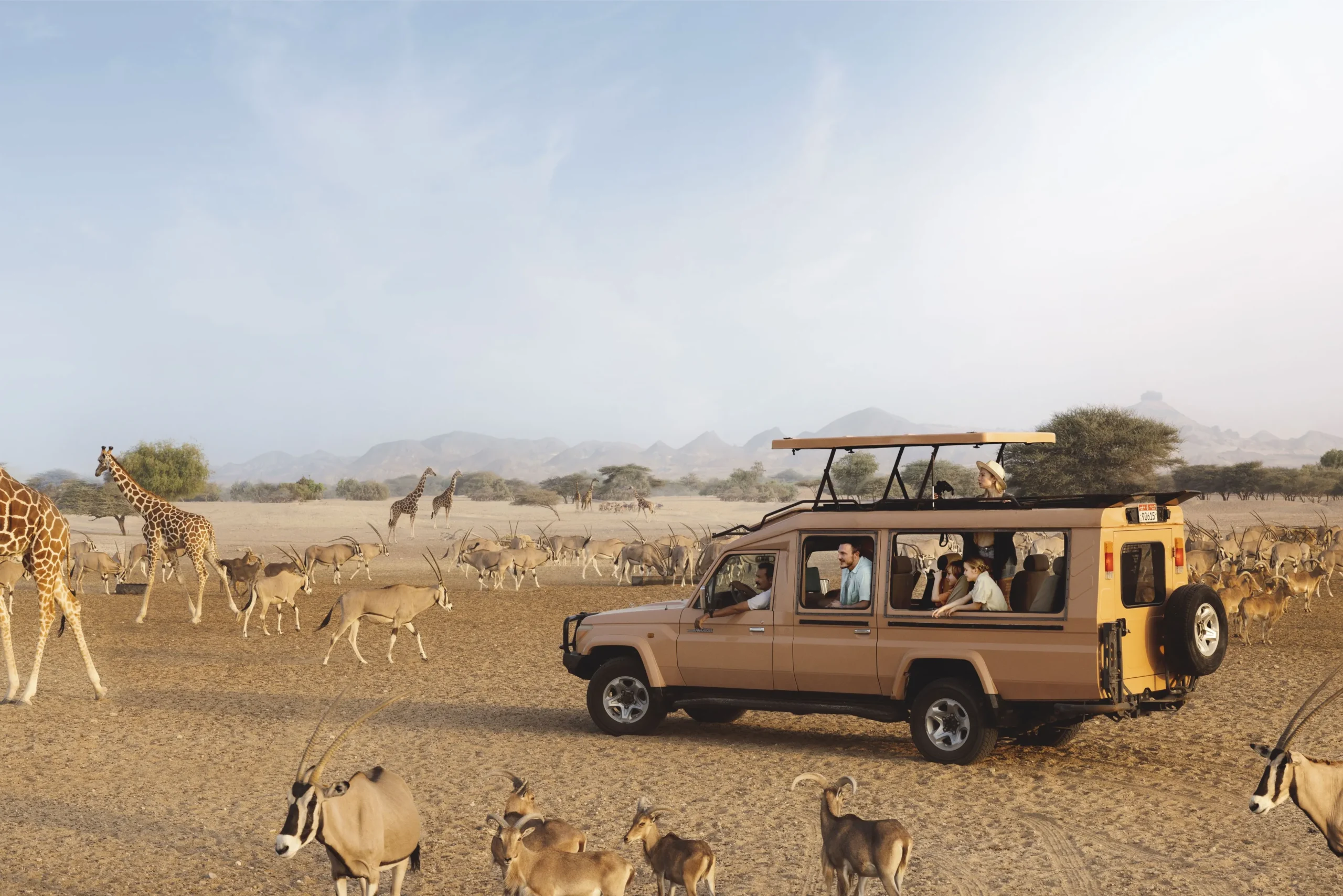 Ultimate Guide to Safari Tours on Sir Bani Yas Island in 2025: Wildlife, Logistics & Tips