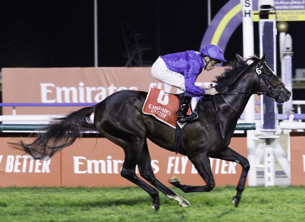 Popular sports in uae