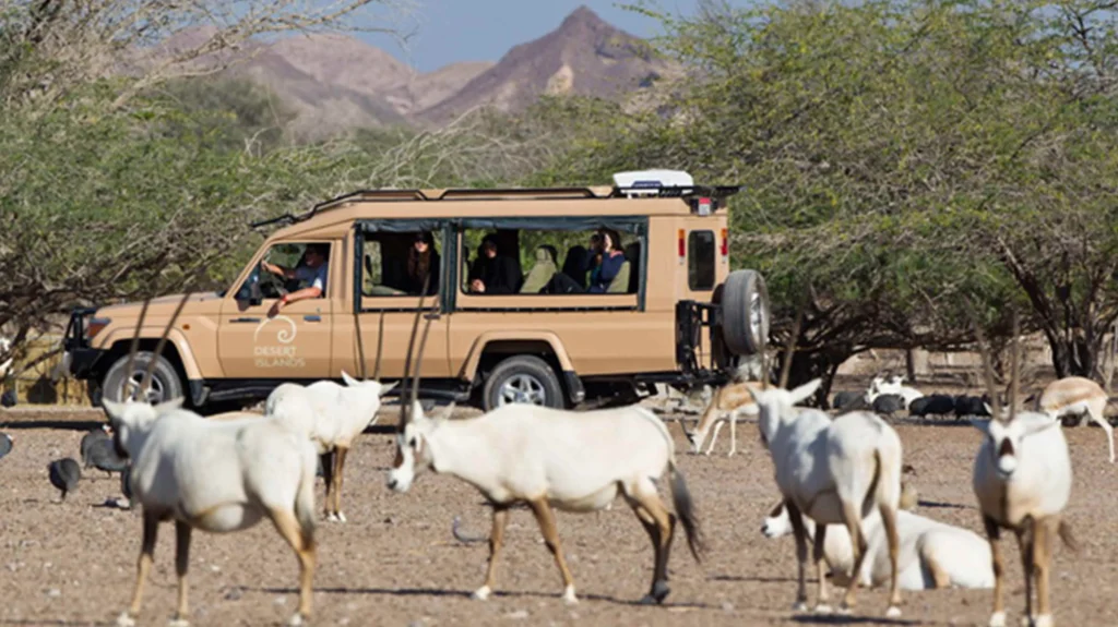 Car Rentals in Sir Bani Yas Island