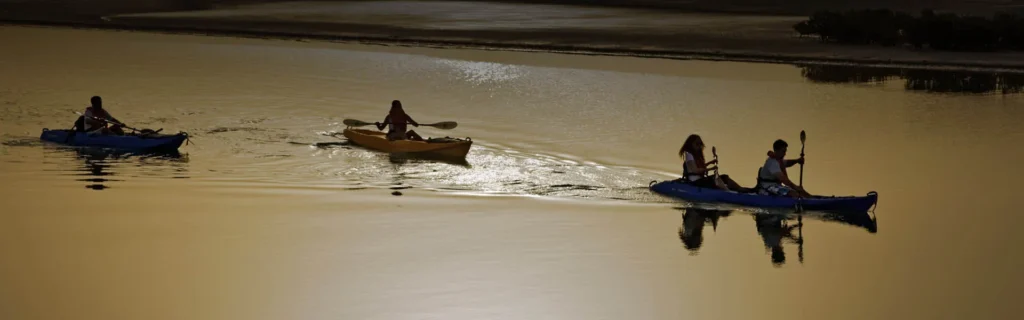 Kayaking on Sir Bani Yas Island