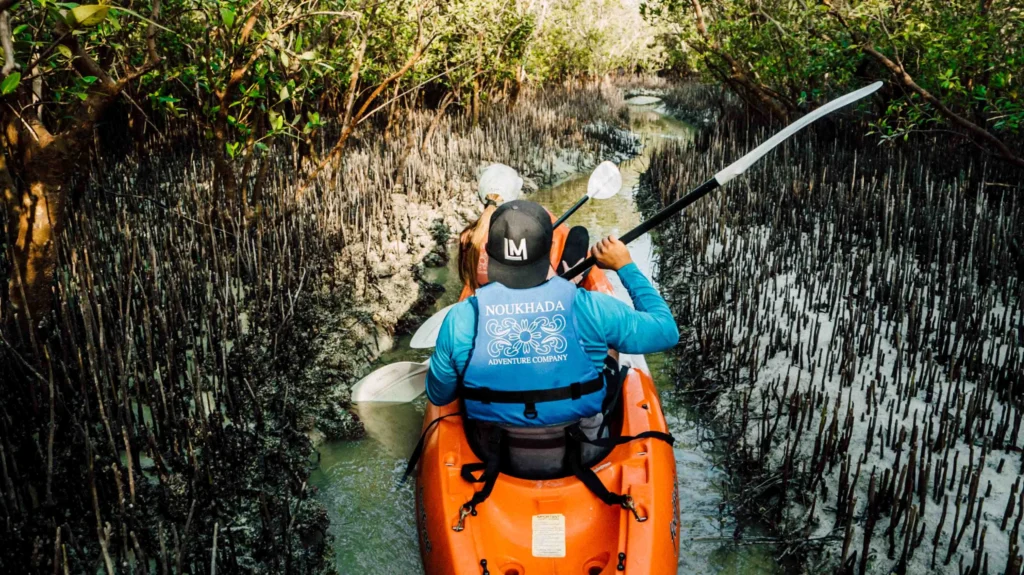 Kayaking on Sir Bani Yas Island