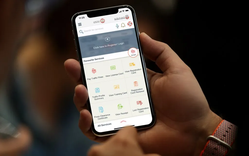 pay traffic fines online