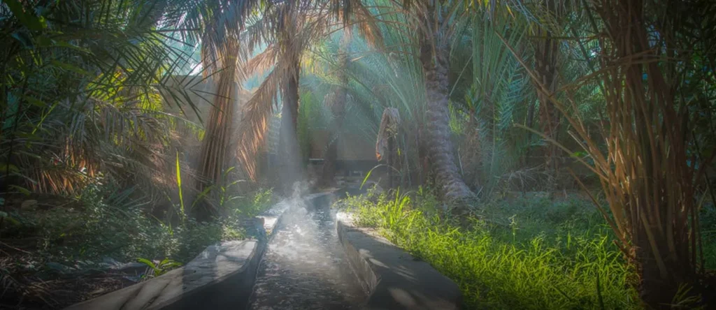 Al Ain Oasis