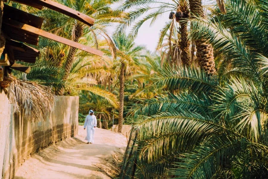 Al Ain Oasis