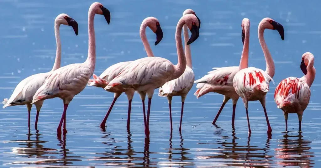 birdwatching hotspots