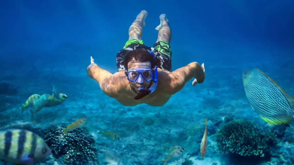 things to do on Sir Bani Yas Island