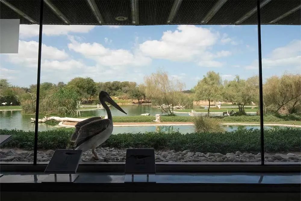 Eco-Tourism in Sharjah