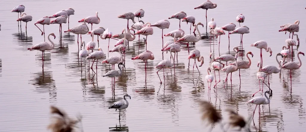 Hidden Gems in Abu Dhabi 