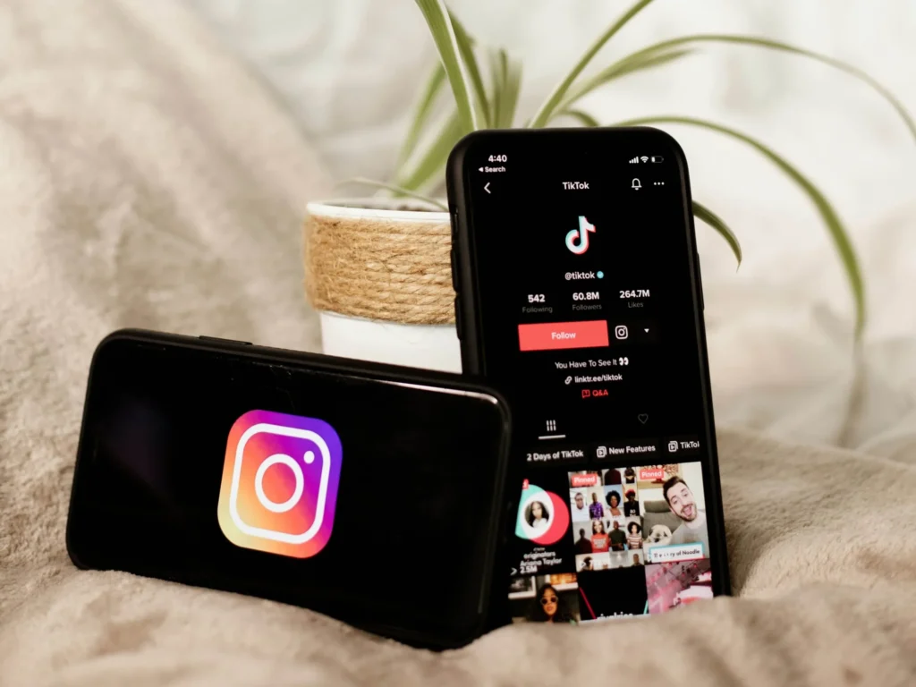 TikTok and Instagram growth