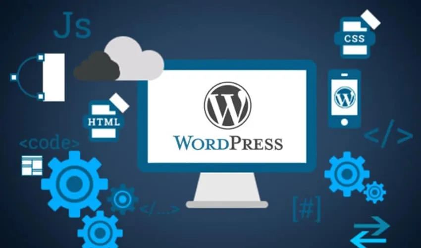 Freelance WordPress Expert