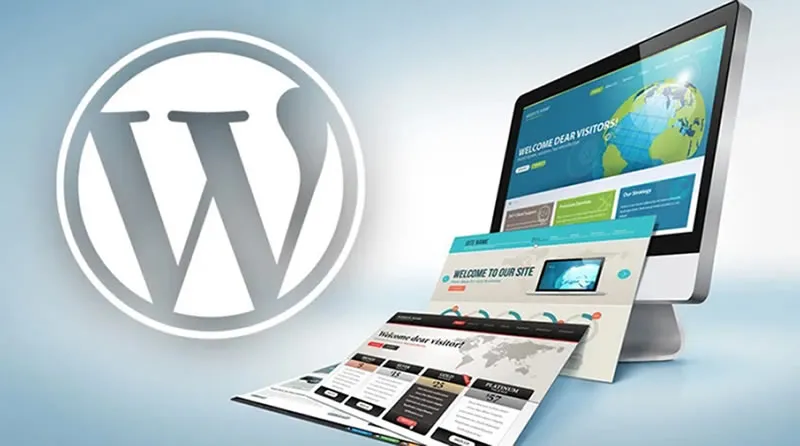 Freelance WordPress Expert