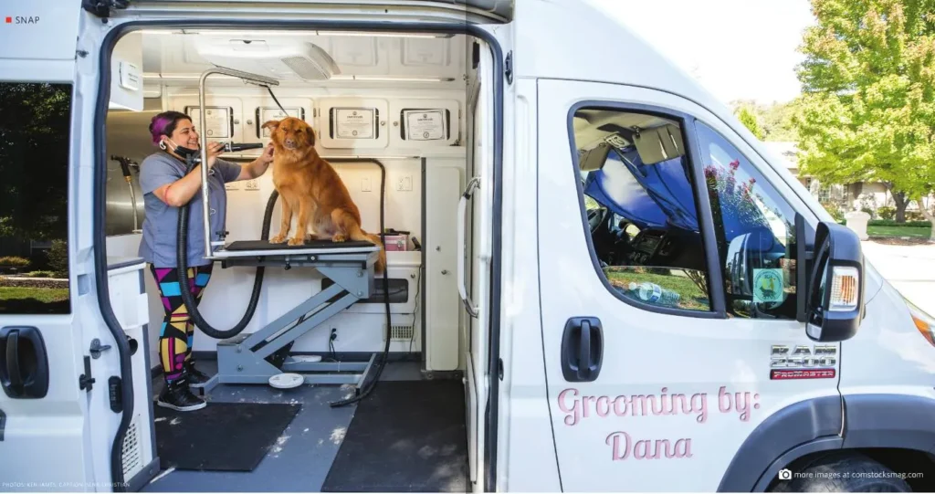 Freelance Mobile Pet Groomer