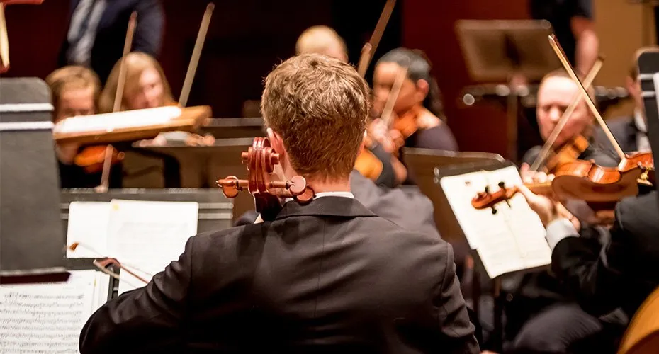 Freelance Music Teacher