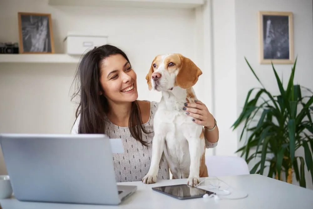 Freelancers Working with Pets