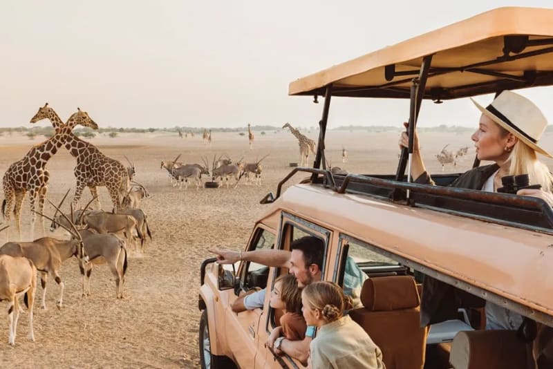 Ultimate Guide: Do You Really Need Tickets for Sir Bani Yas Island in 2025