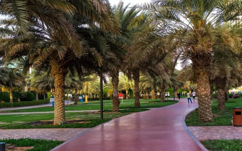 10 Inspiring Spots for a Refreshing Morning Walk in Sharjah
