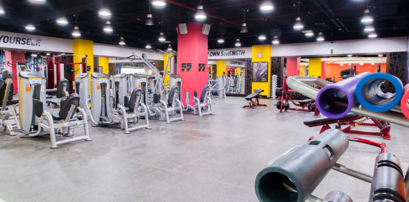 Top Gyms in Al Ain – Discover the Best Fitness Centers & Health Clubs