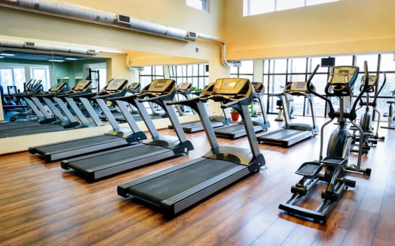 Top Gyms in Ajman: The Ultimate Guide to Fitness, Lifestyle, and Wellness