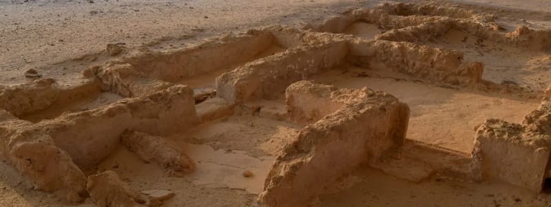 7 Fascinating Facts About the History of Sir Bani Yas Island: From Ancient Civilizations to Modern Paradise