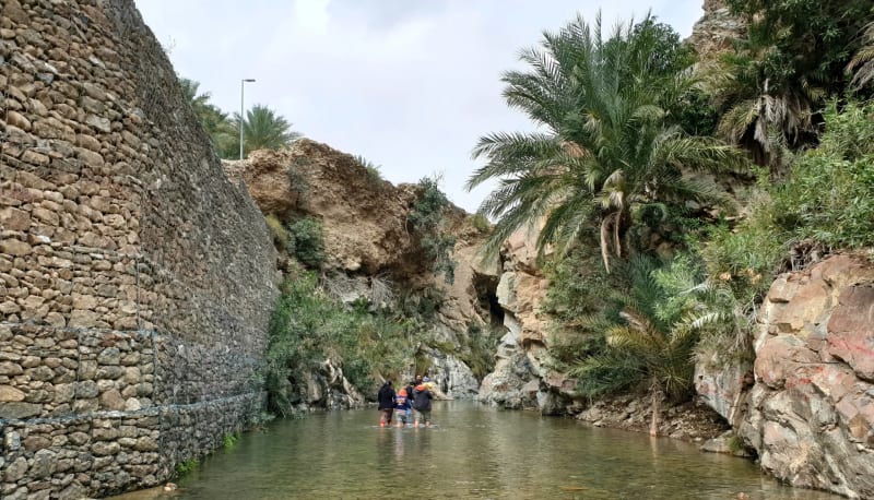 Top 5 Wadis in Fujairah for Hiking & Swimming — Your 2025 Guide to Fujairah’s Natural Oases