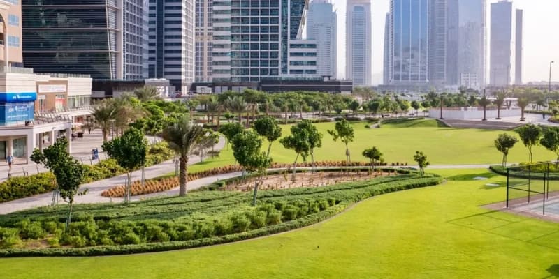 Remarkable Transformation: Planting Trees in Dubai and the City’s Positive Green Future