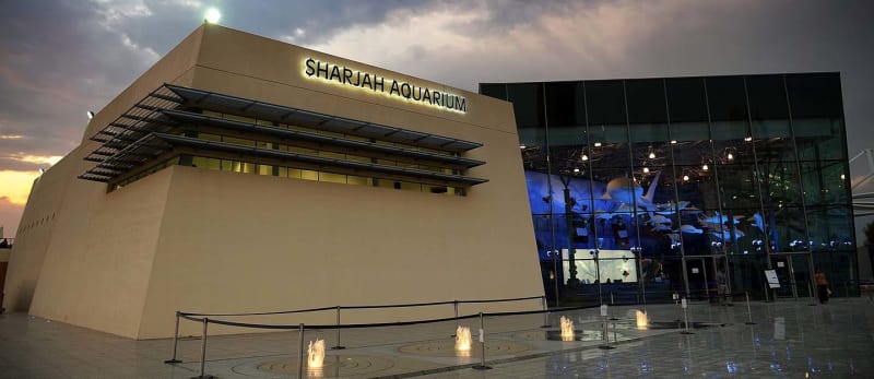 Ultimate Magical Experience at Sharjah Aquarium: A Stunning Underwater World of Wonder