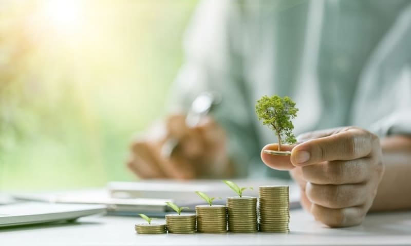 Powerful Positive Guide to Average Salary in Fujairah 2026 by Job Role