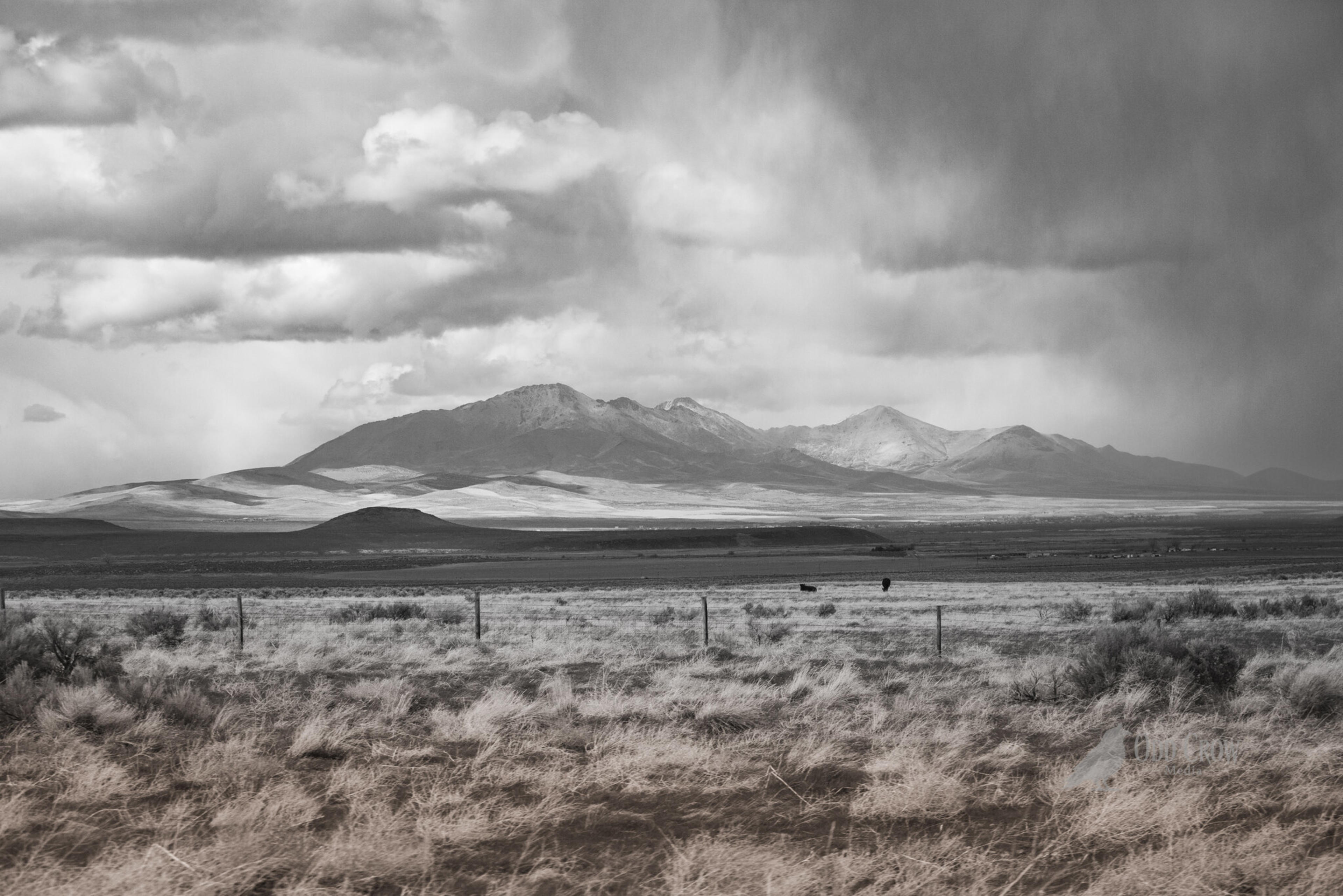 Road trip landscape