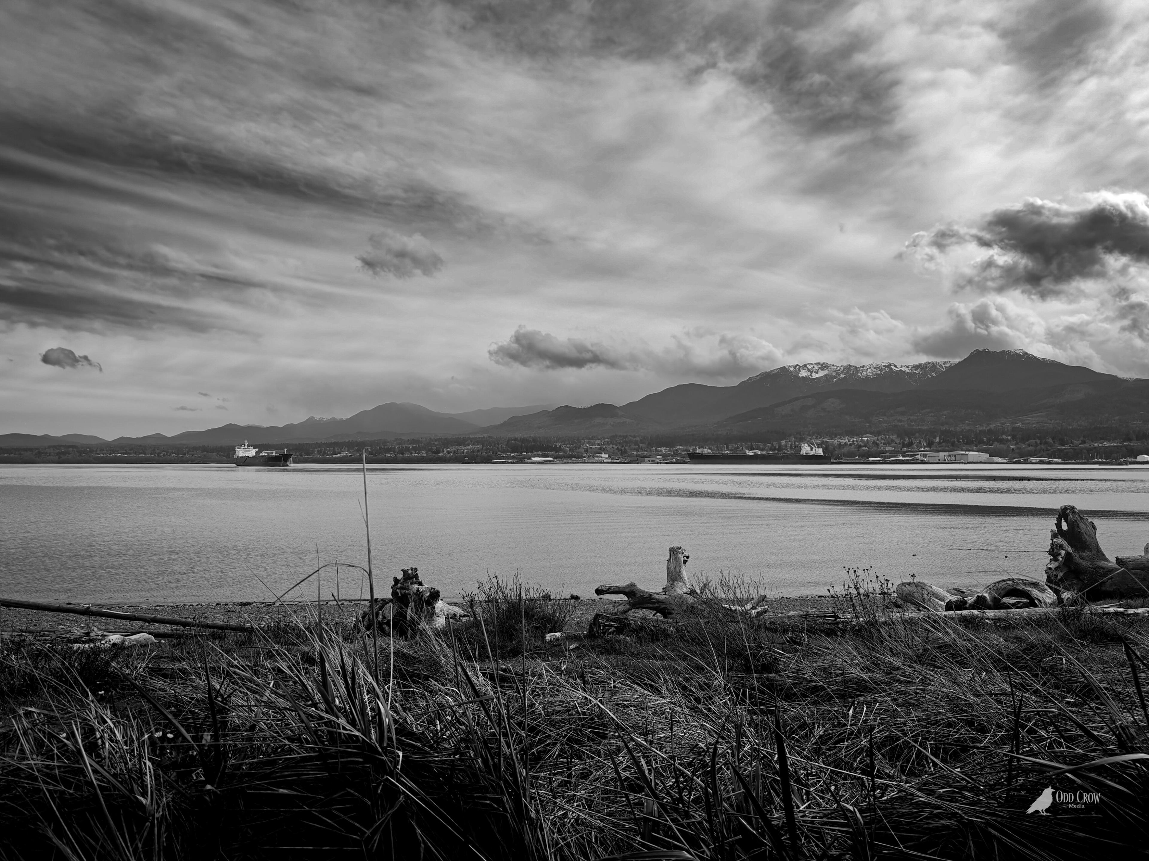 Port Angeles harbor from Ediz Hook — Olympic Mountains in the background, dramatic clouds, driftwood shore — Odd Crow Media