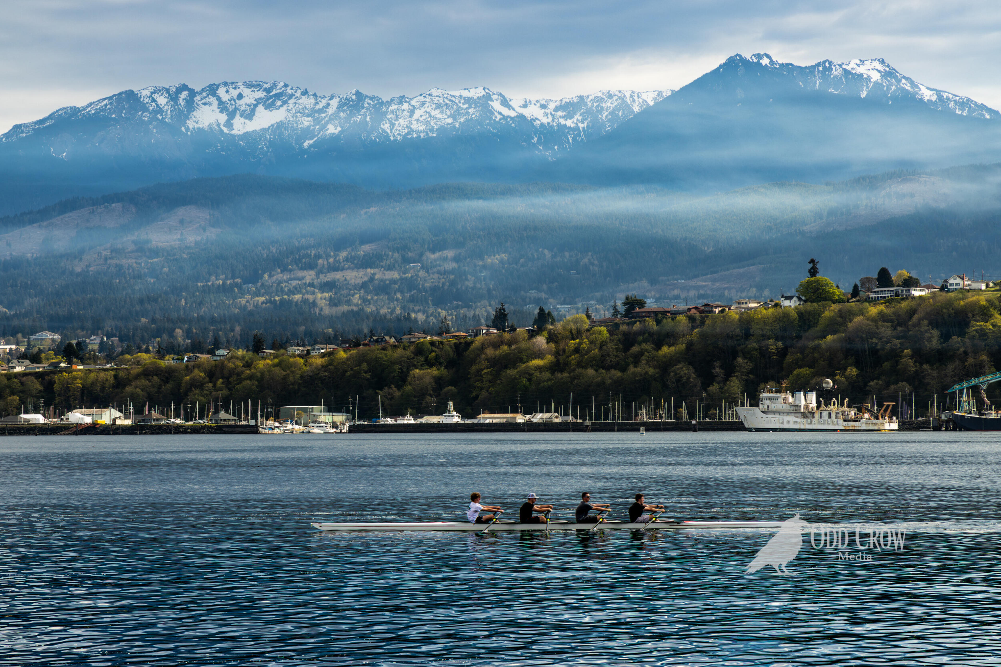 Four-person rowing crew on calm harbor water with snow-covered Olympic Mountains and Port Angeles waterfront in background