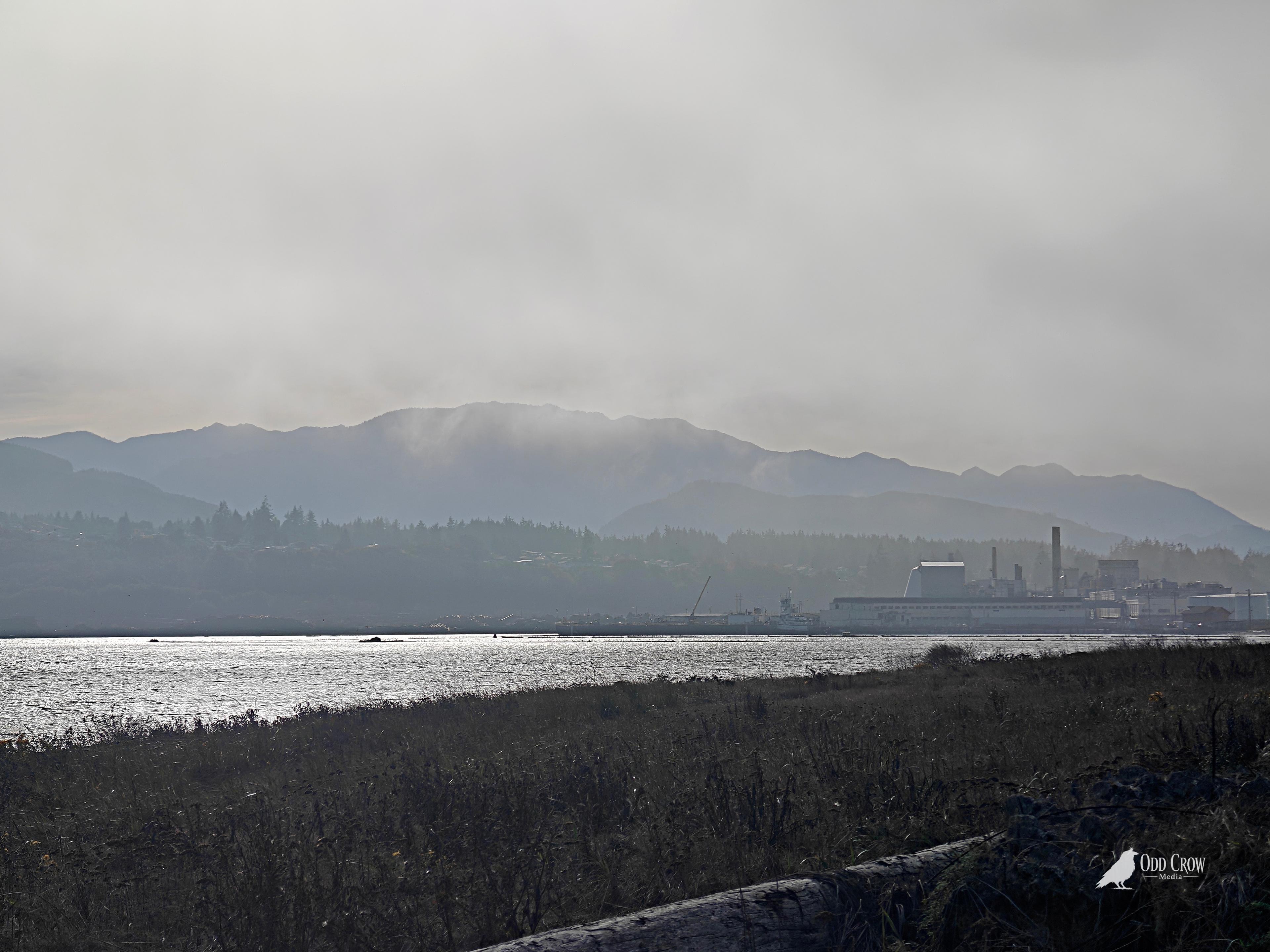 Large cargo ship on Port Angeles Harbor seen through heavy fog from Ediz Hook, Washington