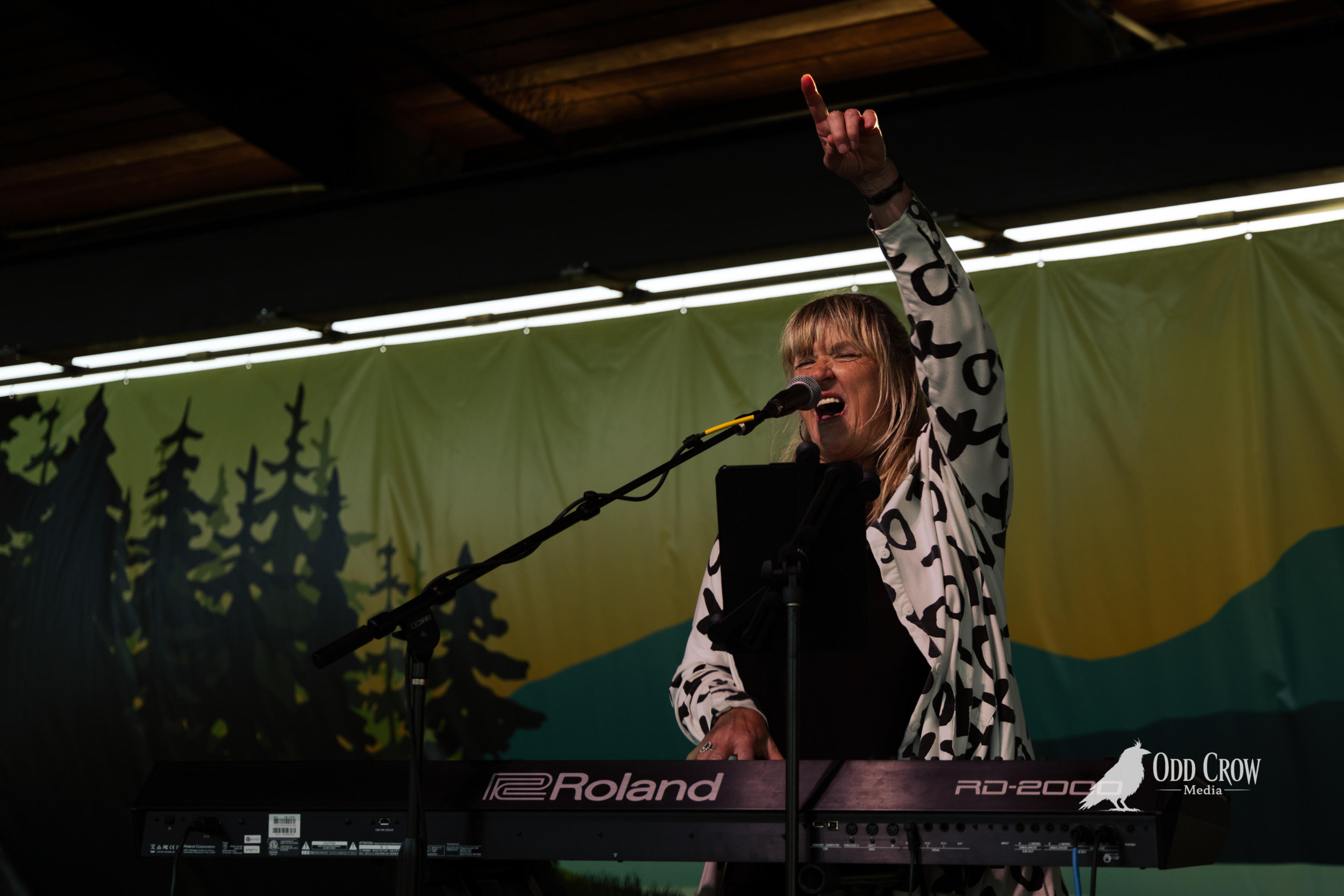 Sound Advice Played Through It at Arts in Action