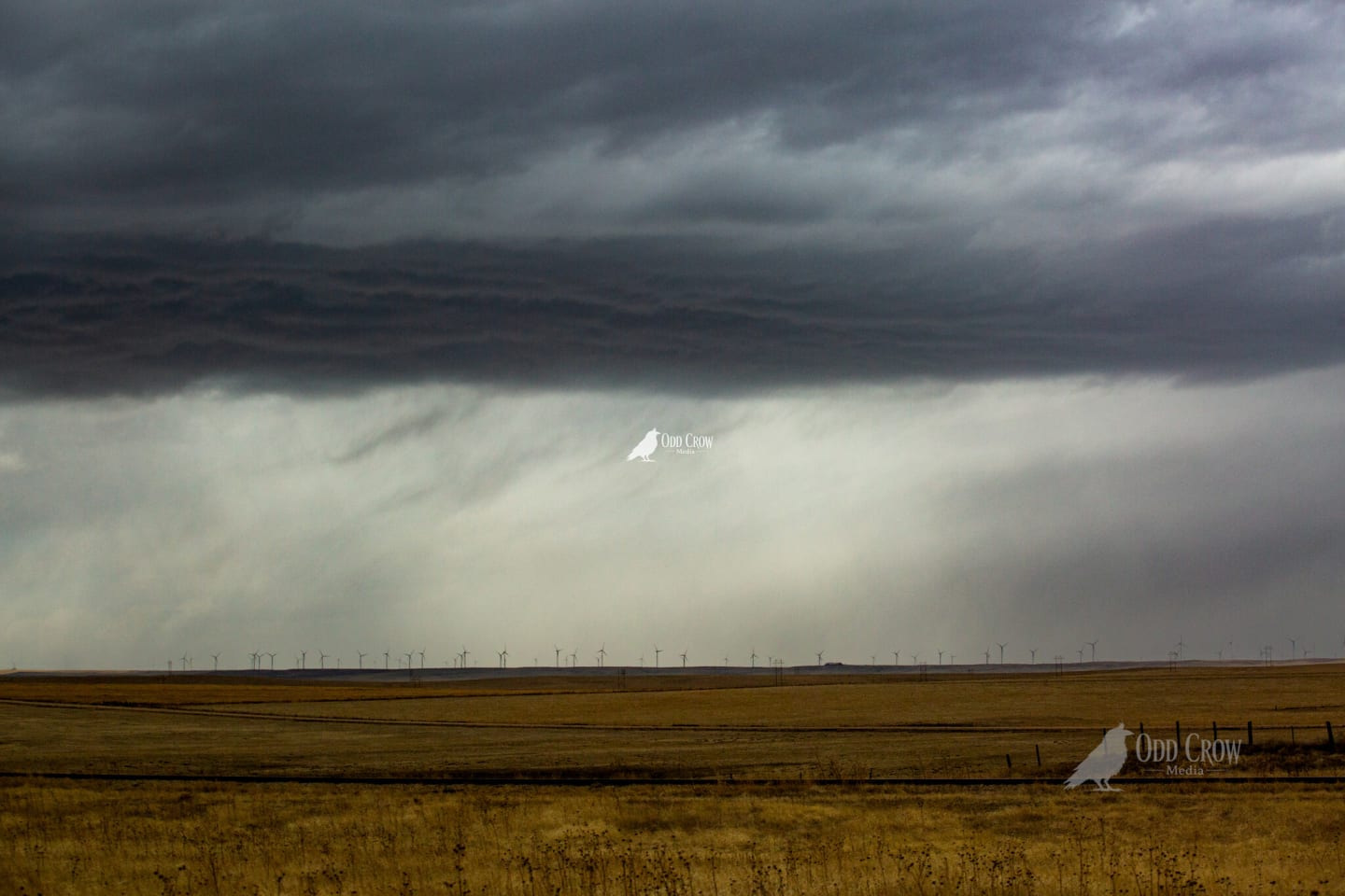 Solo landscape photography — Pacific Northwest road trip, Odd Crow Media
