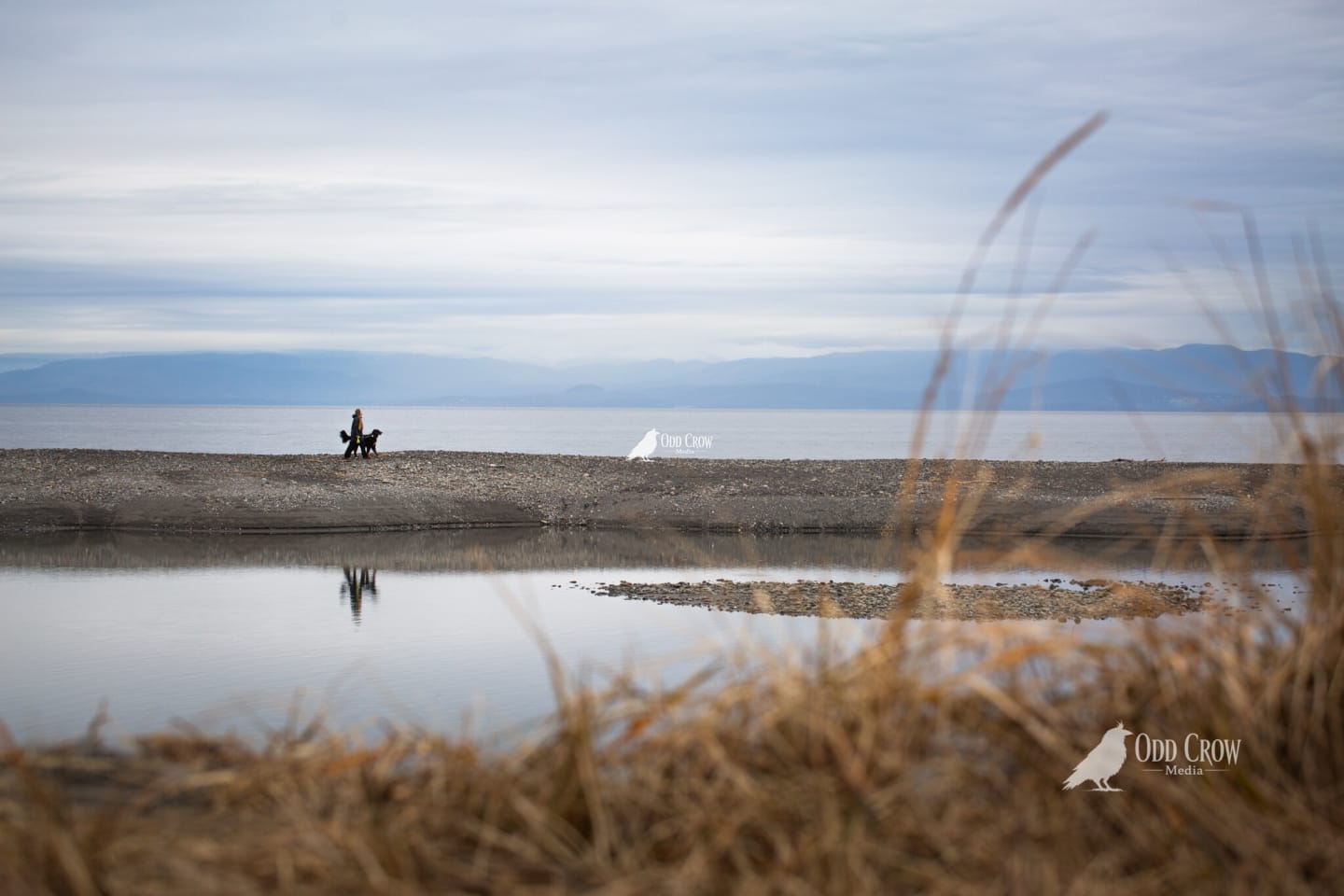 Pacific Northwest coast — fine art photography, coming home, Port Angeles WA, Odd Crow Media