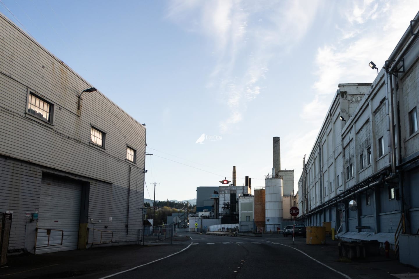 Empty mill road stretching toward industrial buildings in Port Angeles