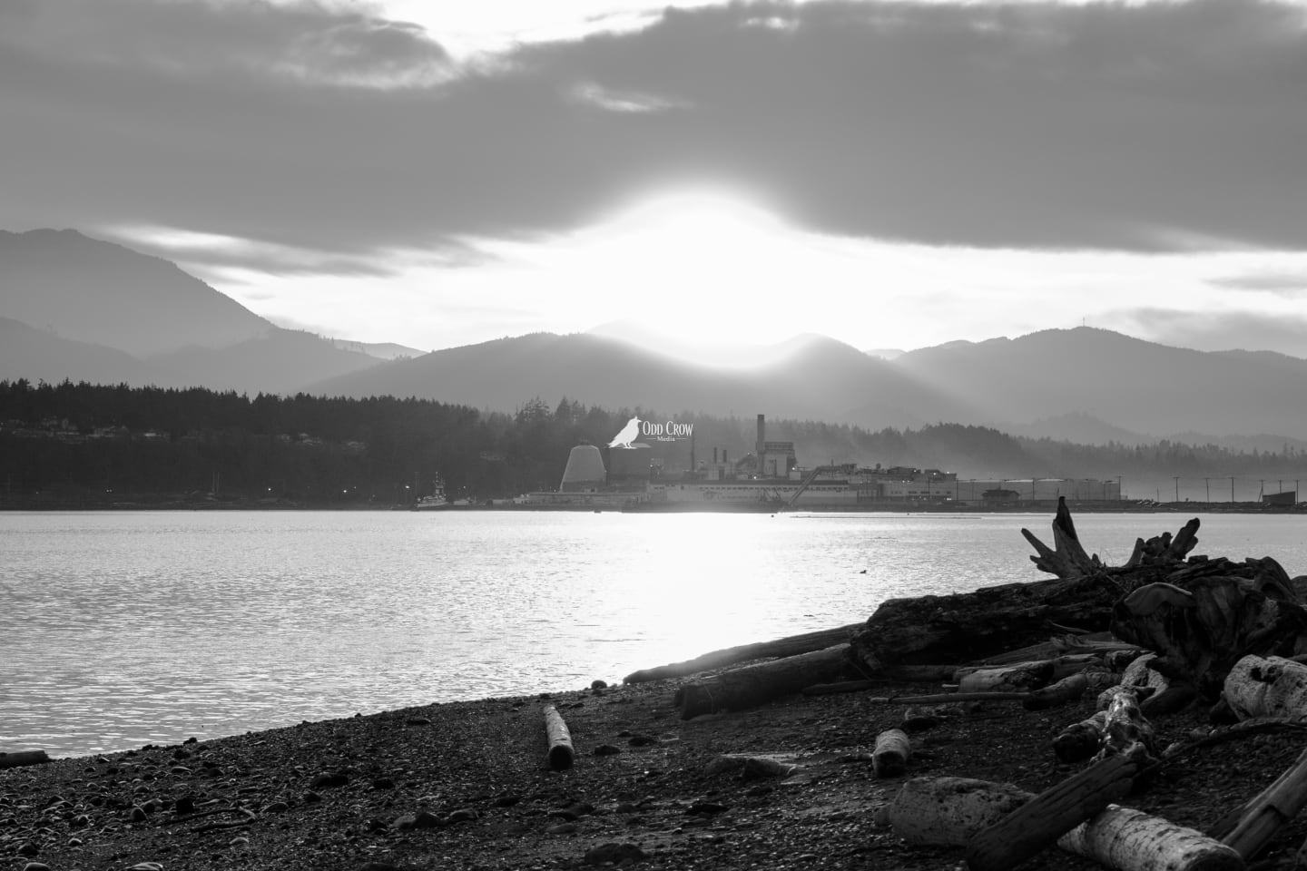 Dramatic black and white view of mill complex from waterfront at sunset