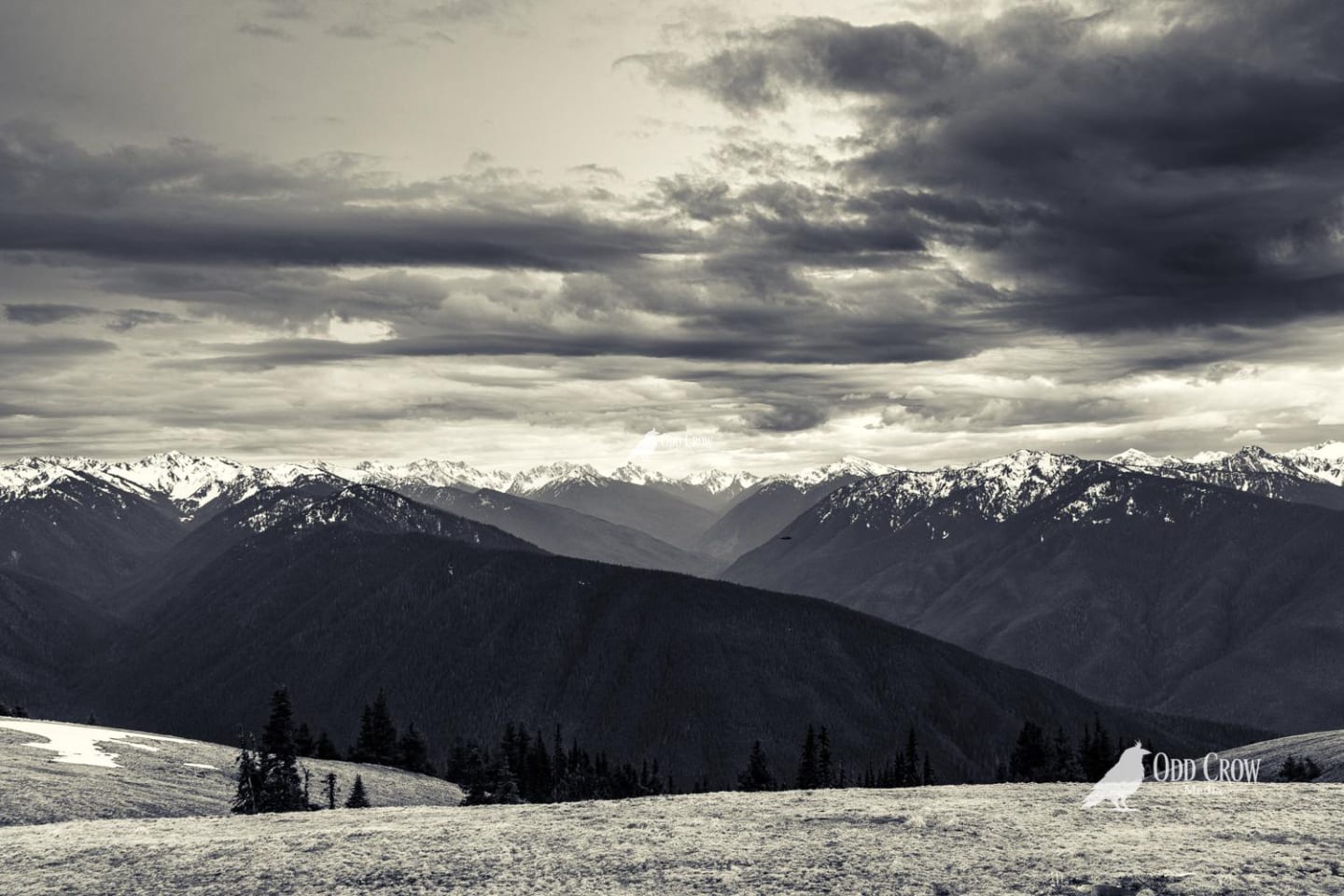 Wide panoramic view of snow-covered Olympic Mountain peaks under dramatic cloudy sky