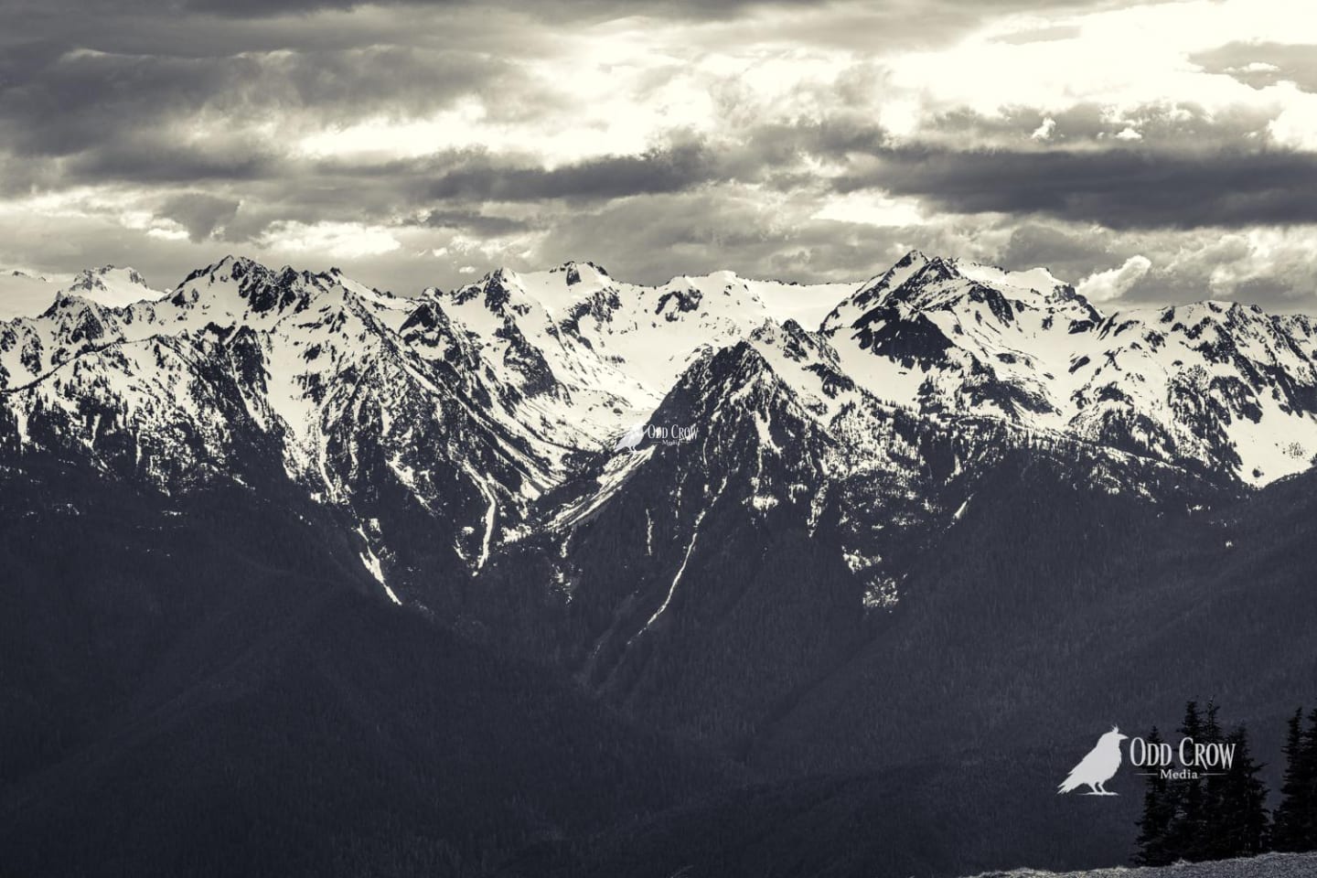 Close-up view of rugged snow-covered Olympic Mountain peaks and ridgelines
