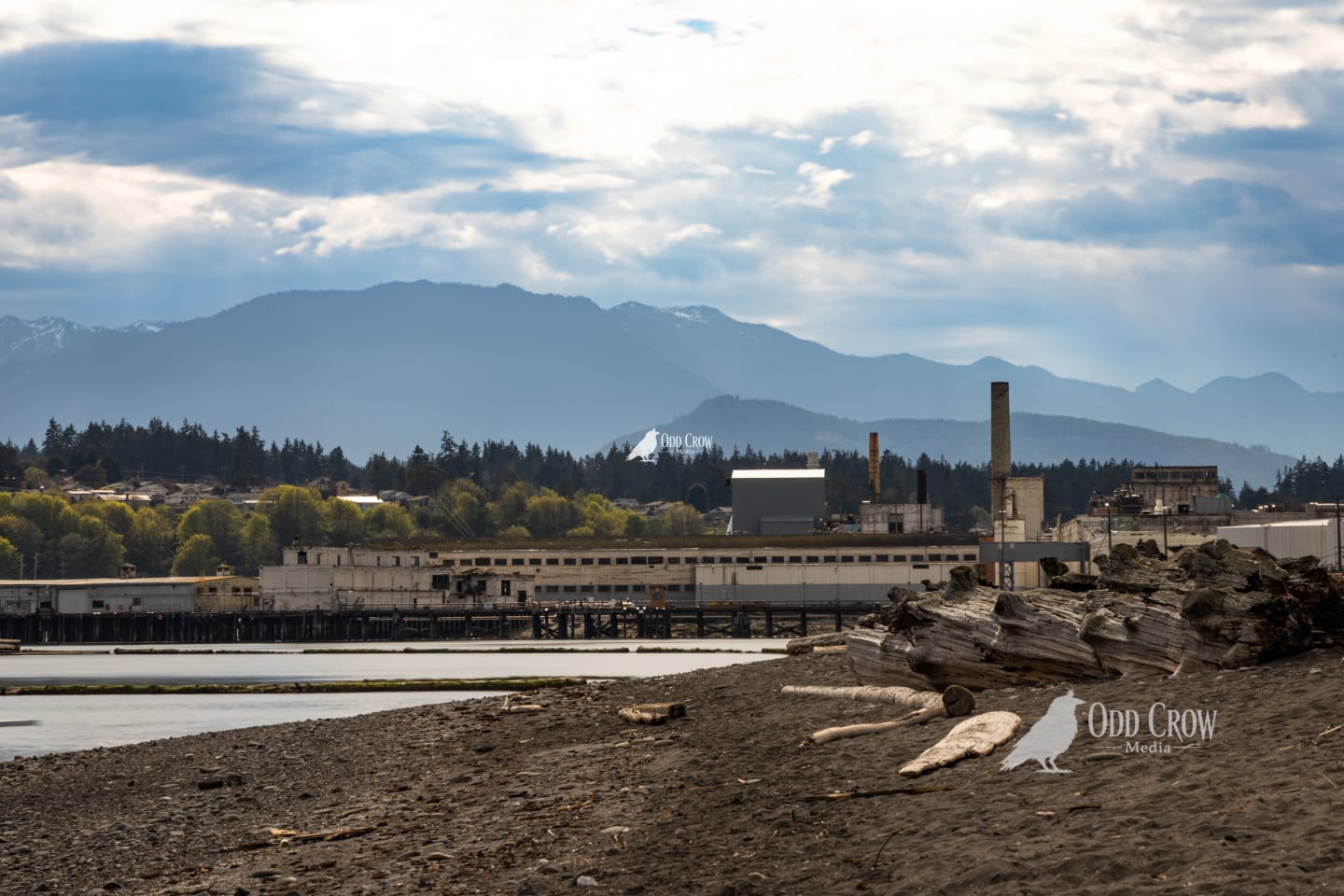 Port Angeles industrial waterfront with mill buildings and driftwood on rocky shore, Olympic Mountains visible through haze