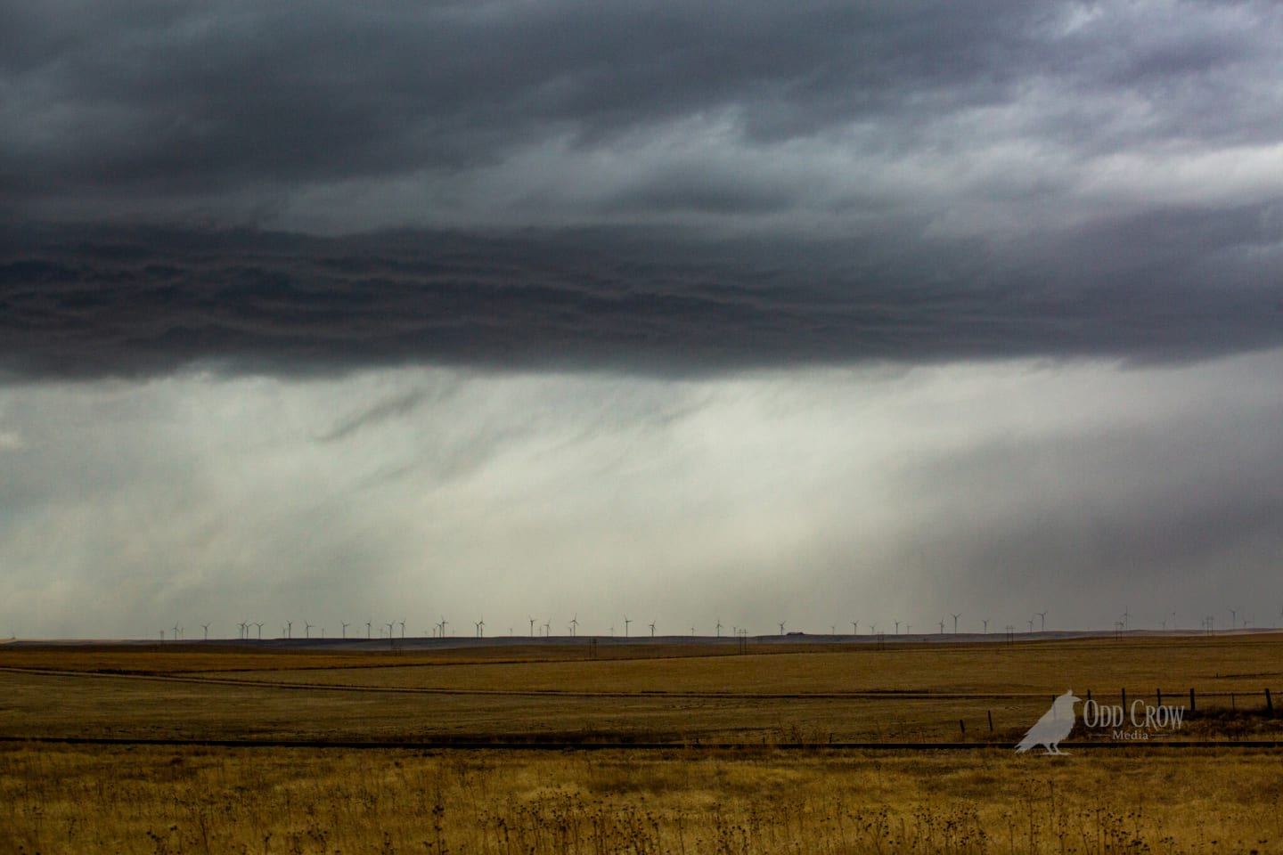 Solo landscape photography — Pacific Northwest road trip, Odd Crow Media