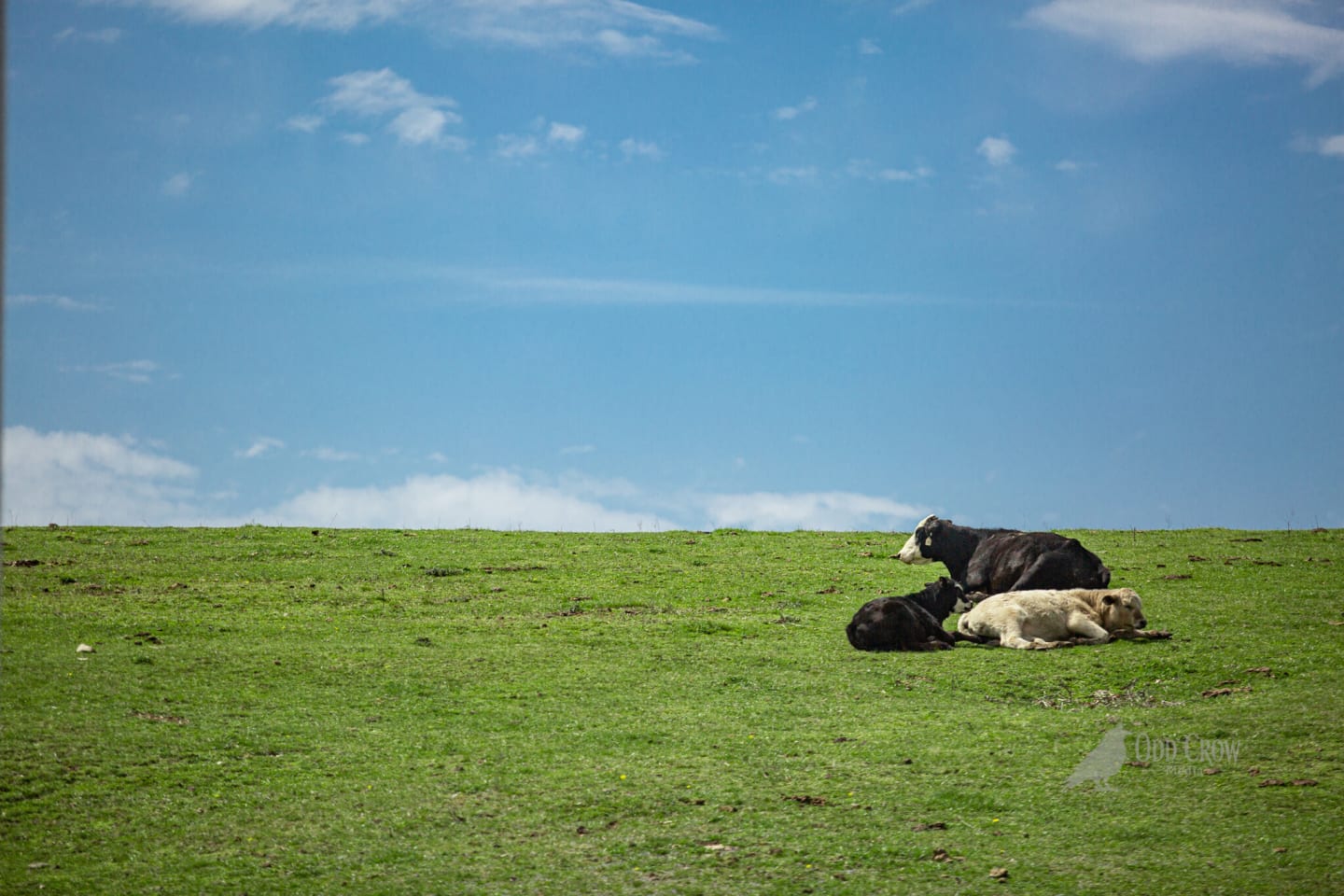 Road trip landscape photography — fine art, Pacific Northwest, Odd Crow Media