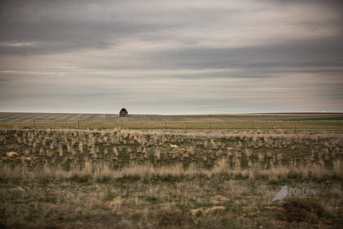 Pacific Northwest road trip — landscape photography by Alaina Ciceri, Odd Crow Media